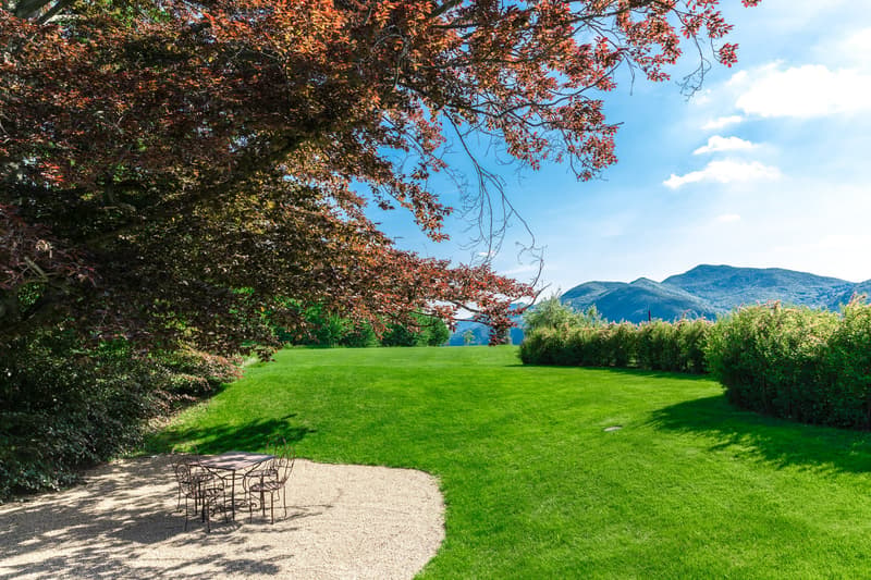 The image shows a beautiful outdoor landscape with a large grassy lawn surrounded by lush trees and shrubs. The trees have vibrant orange and red autumn foliage, creating a stunning contrast against the blue sky with fluffy white clouds. In the foreground