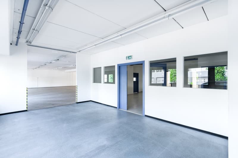 Large open office space with white walls, concrete flooring, and several glass-paneled doors leading to other rooms. The space has overhead lighting and ventilation ducts visible in the ceiling.