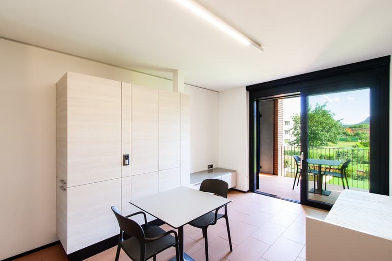 modern interior design, glass doors leading to a balcony, dining table with chairs, white walls, ceiling light, large windows, outdoor patio with a table and chairs, plants, trees, and grass