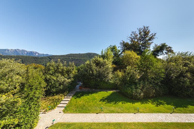 pathway, green lawn, surrounded by trees and plants, small bin, elevated view