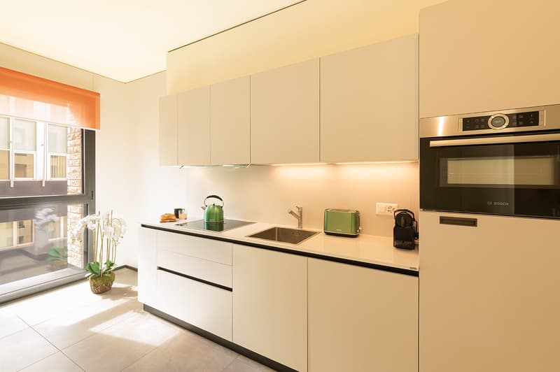 LUGANO CENTRE - APPARTMENT 2.5 PIÈCES À LOUER, MEUBLÉ (9)