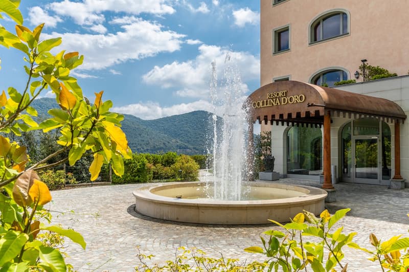 LUGANO-COLLINA D'ORO - AFFITTASI APPARTAMENTO 3.5 LOCALI CON VISTA SUL PARCO(Rif. 204) (27)