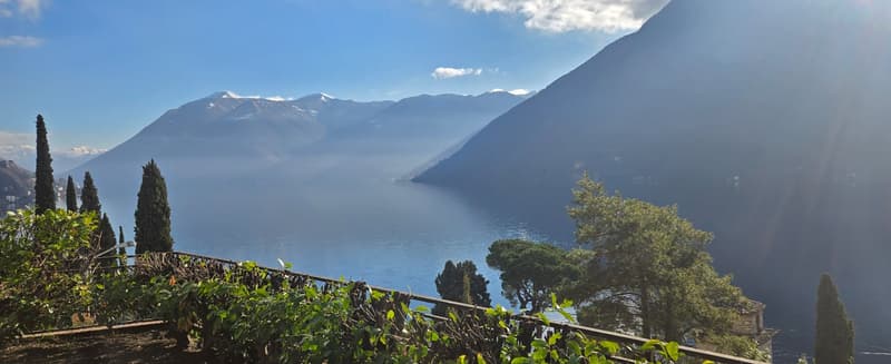 Garden with fence, plants, mountains and lake