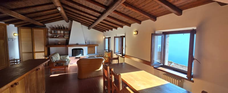 wooden ceiling, fireplace, large windows with beautiful view