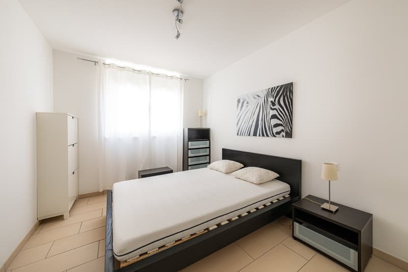 Bedroom: white walls, wooden floor, large bed with pillows, nightstand with lamp, white wardrobe, zebra picture on the wall, white curtains.