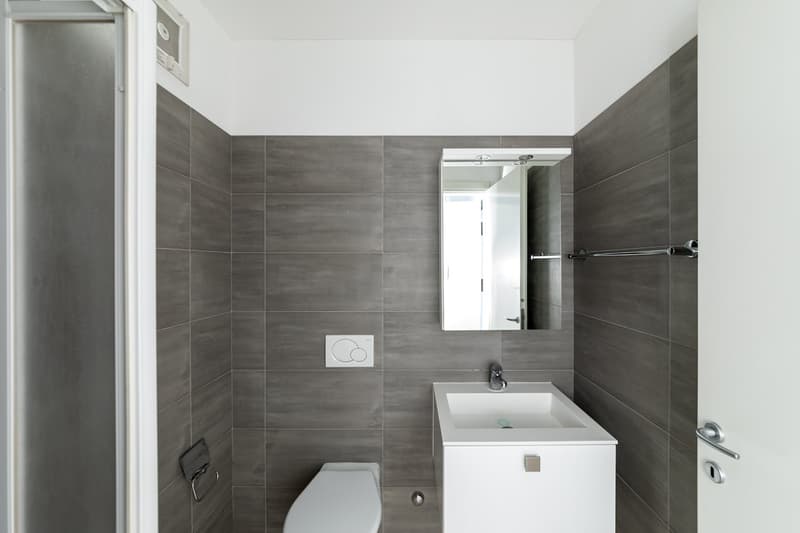 modern bathroom, white toilet, white sink, mirror, grey tiles, shower