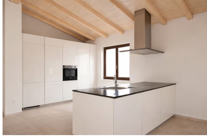 COLDRERIO - Location d'un splendide appartement avec jardin immergé dans le vert (rif. 003) (3)