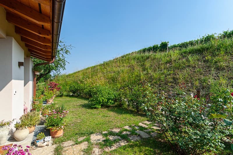 COLDRERIO - Location d'un splendide appartement avec jardin immergé dans le vert (rif. 003) (7)