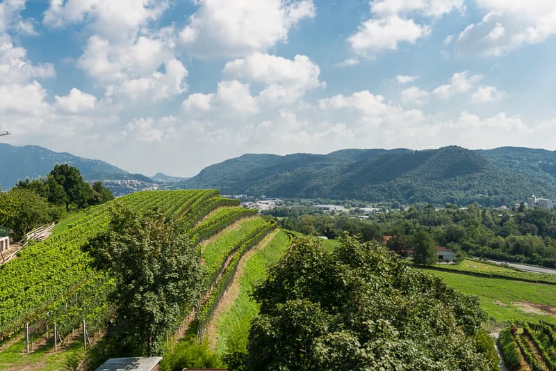 Mietwohnung bezauberndes Duplex mit 3.5 Zimmern und privatem Garten (11)