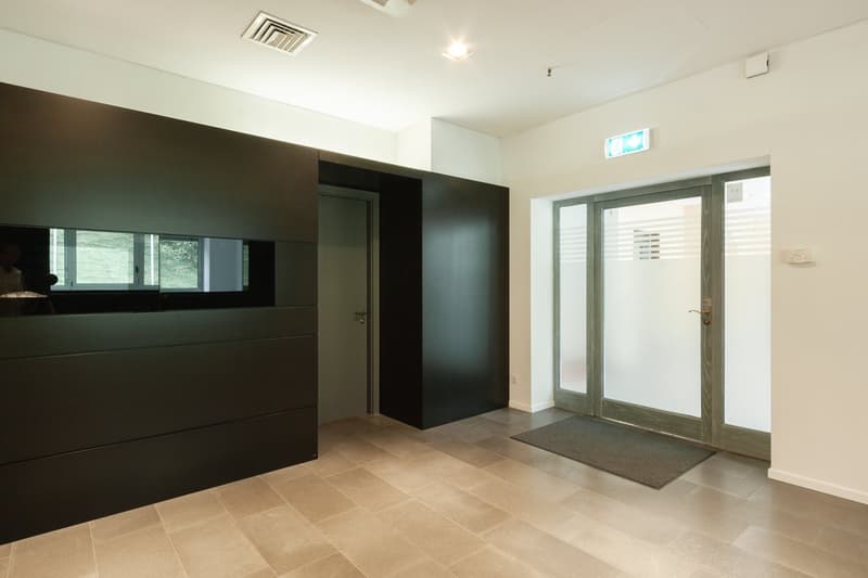 modern interior, black wall, white ceiling, tiled floor, glass door, glass window, rug