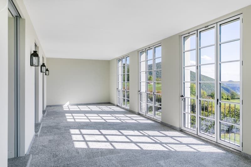 COLLINA D'ORO - AFFITTASI INCANTEVOLE APPARTAMENTO CON GIARDINO PRIVATO E VISTA LAGO (rif. 001) (9)