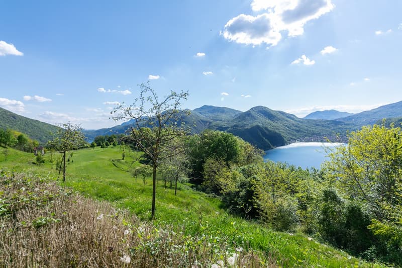 COLLINA D'ORO - AFFITTASI INCANTEVOLE APPARTAMENTO CON GIARDINO PRIVATO E VISTA LAGO (rif. 001) (11)