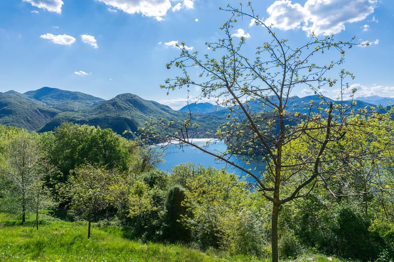 COLLINA D'ORO - AFFITTASI INCANTEVOLE APPARTAMENTO CON GIARDINO PRIVATO E VISTA LAGO (rif. 001) (13)