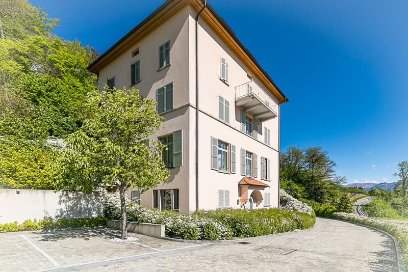 COLLINA D'ORO-AGRA, AFFITTASI ELEGANTE APPARTAMENTO ARREDATO DI 104 MQ (rif. 101) (1)