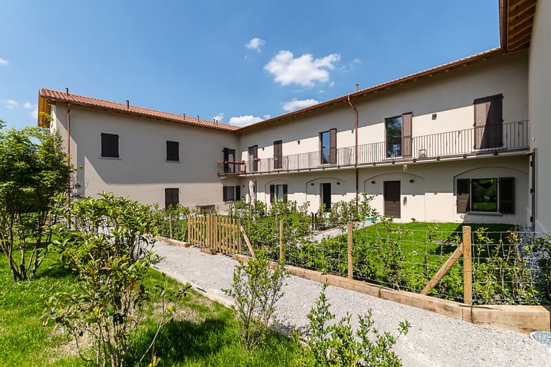 AFFITTASI LUMINOSO APPARTAMENTO DA 2.5 LOCALI IMMERSO NEL VERDE (8)
