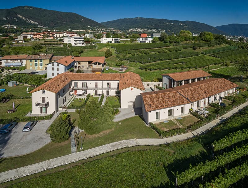 AFFITTASI LUMINOSO APPARTAMENTO DA 2.5 LOCALI IMMERSO NEL VERDE (10)