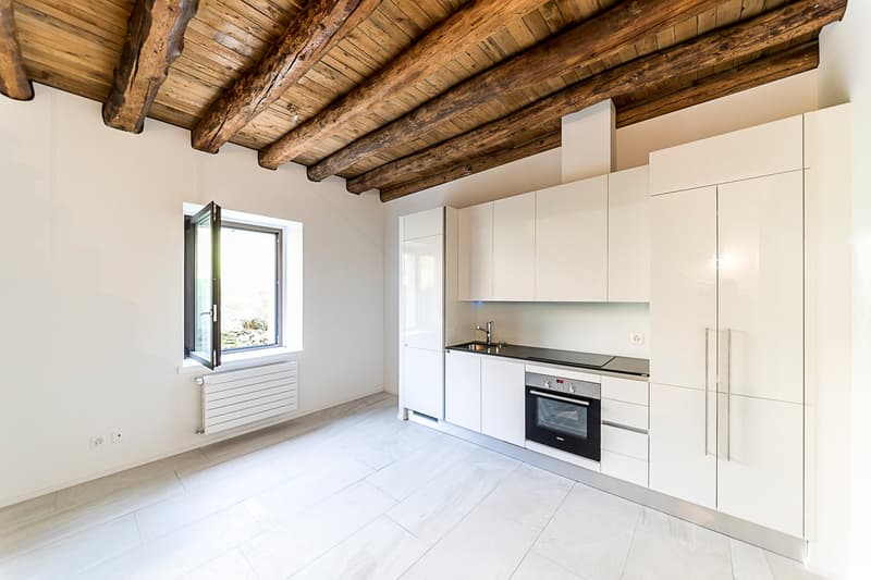 Helllichtes Dachgeschoß-Apartment mit 55 m² und Garten zur Miete (8)