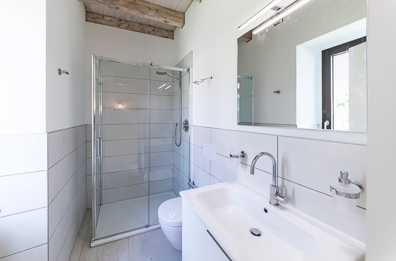 Helllichtes Dachgeschoß-Apartment mit 55 m² und Garten zur Miete (6)