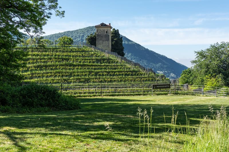 COLLINA D'ORO-AGRA - Lussuoso appartamento di 276 mq con ampia loggia e vista lago (Rif. 303) (26)
