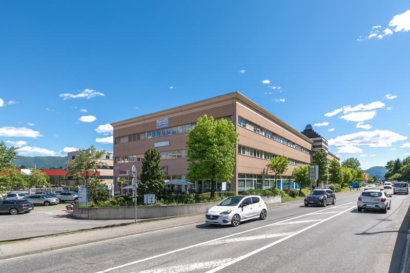 LUGANO NORD - AFFITTASI AMPIO MAGAZZINO DI 1115MQ (4)
