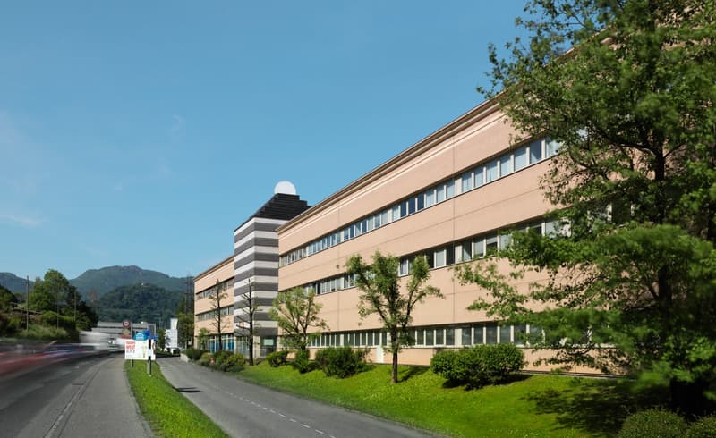 LUGANO NORD - AFFITTASI AMPIO MAGAZZINO DI 1115MQ (2)