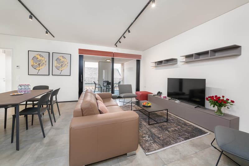 LUGANO CENTRO - AFFITTASI APPARTAMENTO 3.5 LOCALI COMPLETAMENTE ARREDATO (1)
