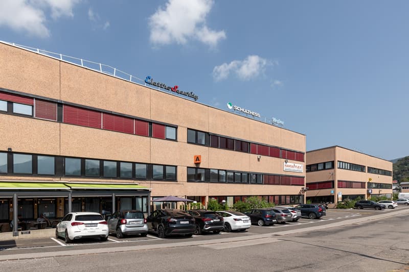 MAGAZZINO E UFFICIO IN AFFITTO A LAMONE (rif. 007-027) (6)