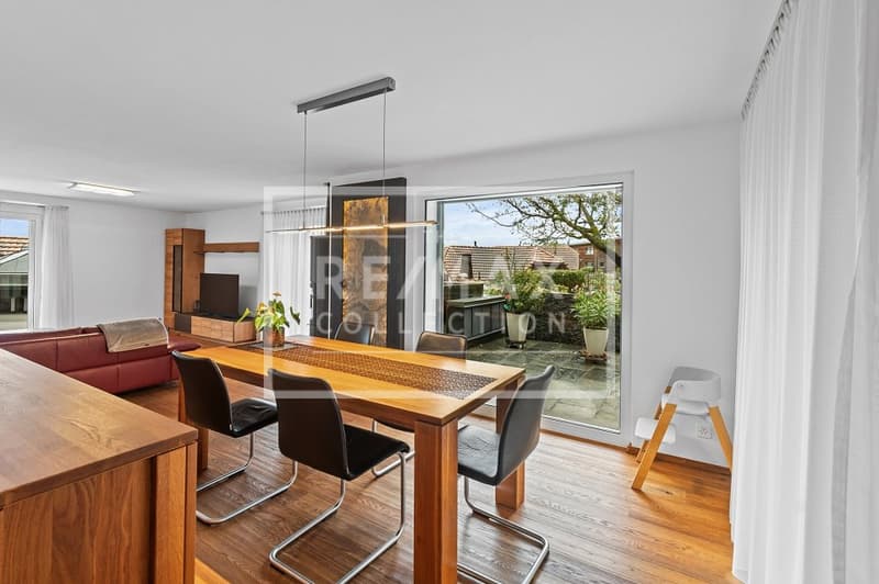 Single-family house with top equipment and large terrace (3)