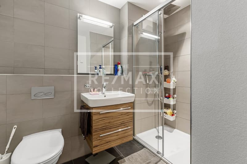 Attractive 4½-room apartment (3)