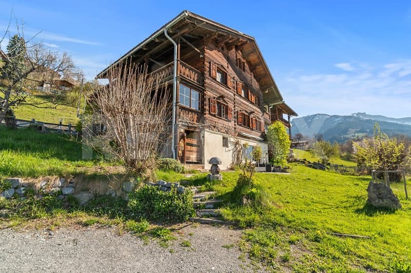 Charmantes Walserhaus mit Einliegerwohnung, Werkstatt und schöner Aussicht (2)