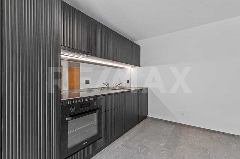 Charming 3½ room holiday apartment No. 2 (6)