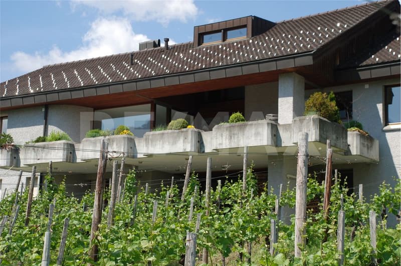 Living in the vineyards of Malans - Luxury single-family house for rent (10)