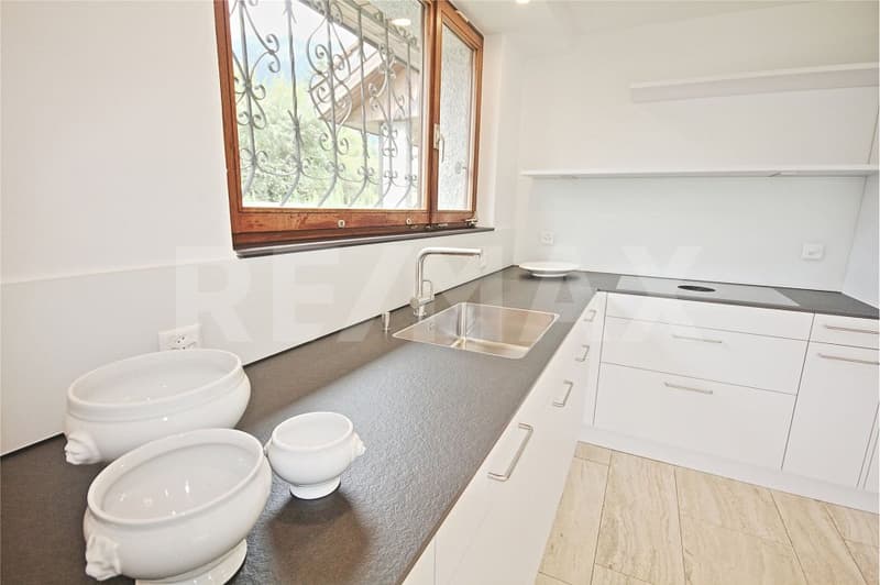 Living in the vineyards of Malans - Luxury single-family house for rent (7)