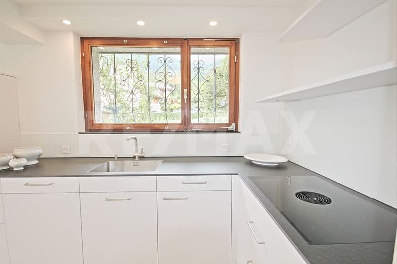 Living in the vineyards of Malans - Luxury single-family house for rent (8)