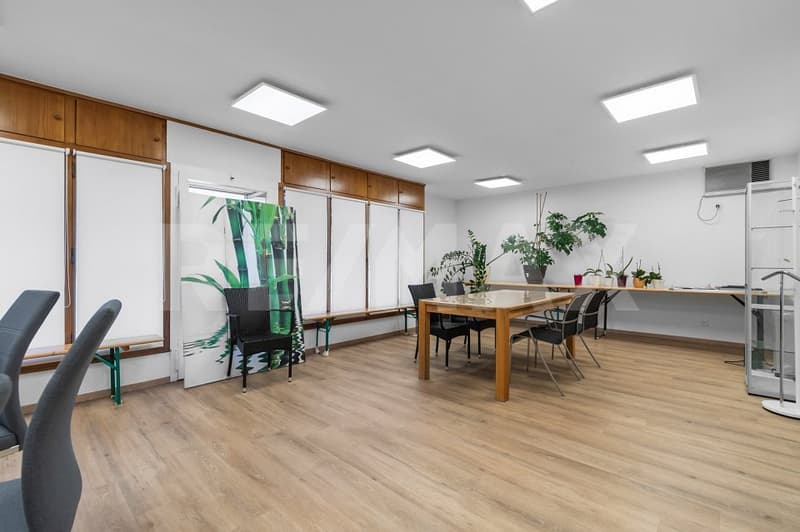 Maison unifamiliale de 8 ½ pièces avec 2 garages, espace commercial et places de parking (6)
