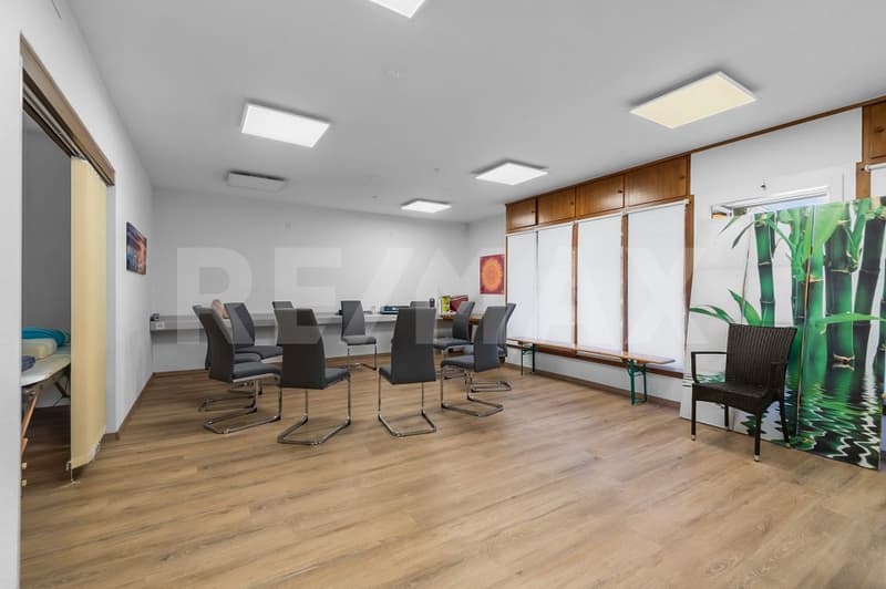Maison unifamiliale de 8 ½ pièces avec 2 garages, espace commercial et places de parking (5)