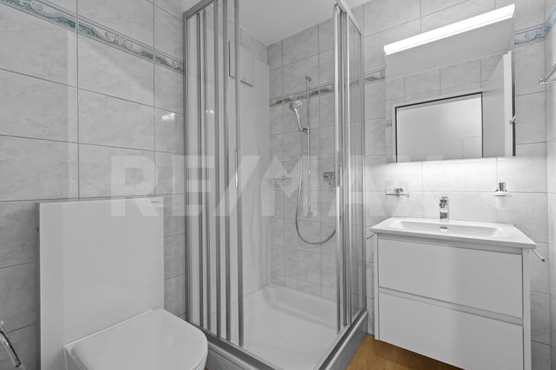 Appartamento 4 ½ locali - appena ristrutturato & pronto per essere occupato (10)