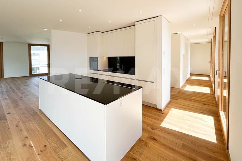 Appartement 6½ pièces au dernier étage, avec terrasse de 400m². (7)