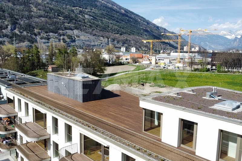 Appartement 6½ pièces au dernier étage, avec terrasse de 400m². (3)