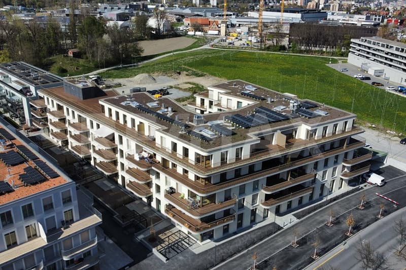 Appartement 6½ pièces au dernier étage, avec terrasse de 400m². (4)