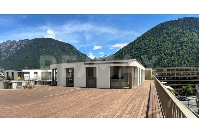Appartement 6½ pièces au dernier étage, avec terrasse de 400m². (2)