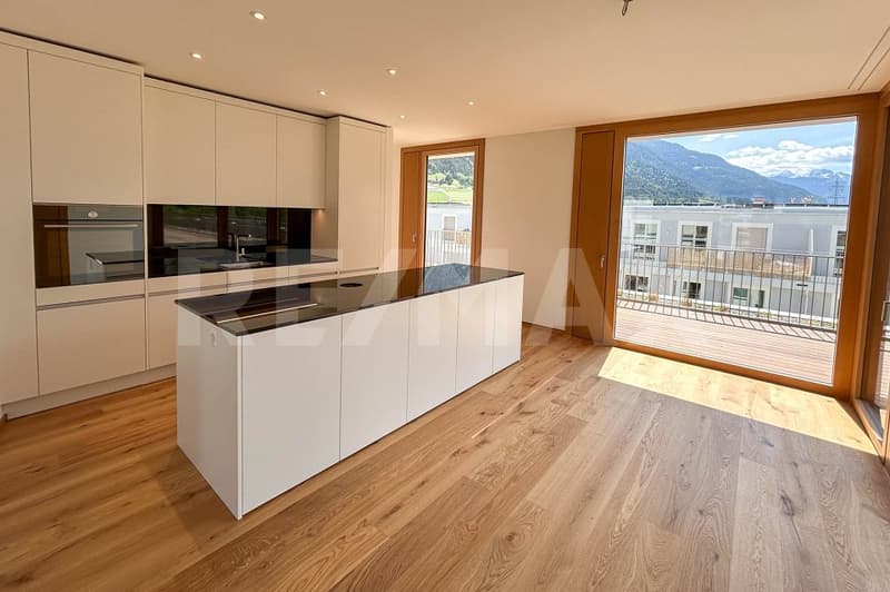 Appartement 6½ pièces au dernier étage, avec terrasse de 400m². (5)