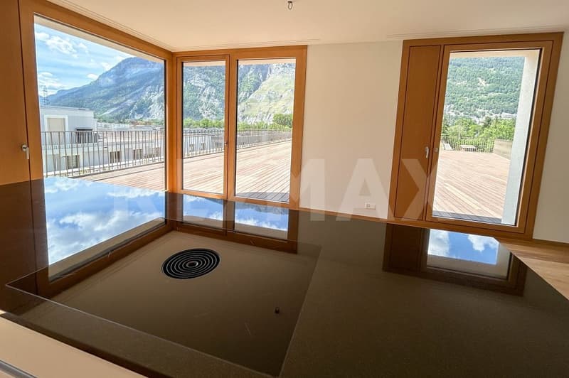 Appartement 6½ pièces au dernier étage, avec terrasse de 400m². (6)