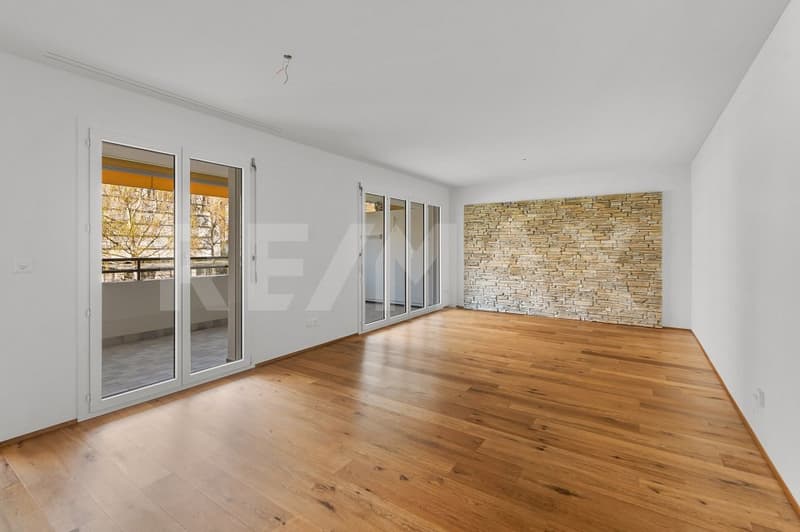 5½ room apartment including basement and underground parking space - space for the whole family (3)