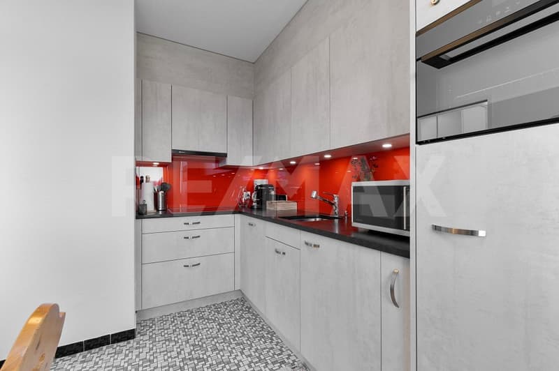 Charming 2 ½ room apartment with enchanting views (3)