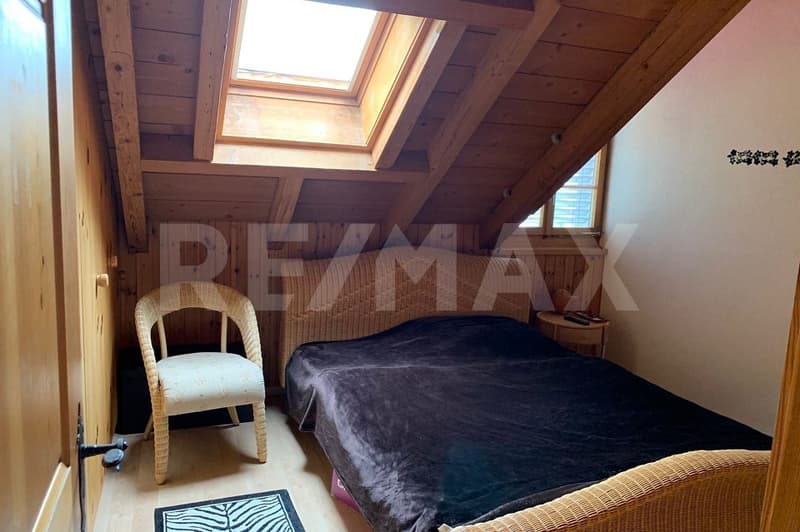 Bello e spazioso appartamento di 5,5 locali con terrazza 295 m2 (3)