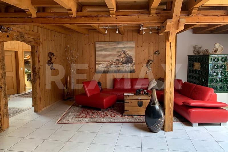 Bello e spazioso appartamento di 5,5 locali con terrazza 295 m2 (2)
