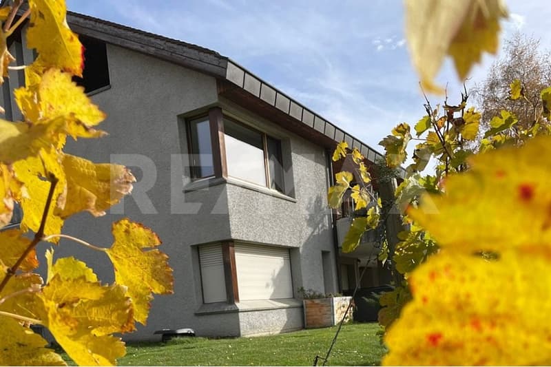 Living in the vineyards of Malans - Luxury single-family house for rent (12)