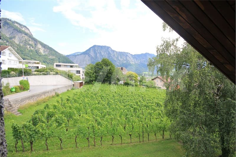 Living in the vineyards of Malans - Luxury single-family house for rent (13)