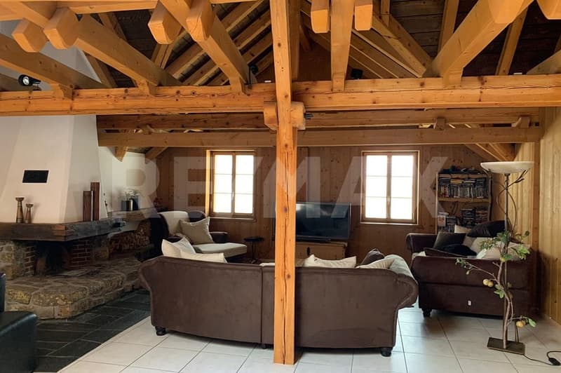 Beautiful, spacious 5.5-room attic apartment with terrace 295 m2 (5)